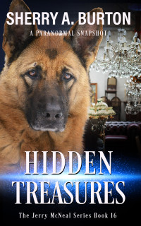 Sherry A. Burton — Hidden Treasures : Book 16 in The Jerry McNeal series (A Paranormal Snapshot)