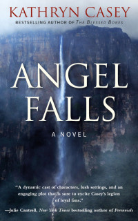 Kathryn Casey — Angel Falls