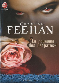 Christine Feehan — Le prince de l'ombre