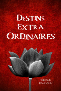 Bachard, Thibaud — Destins extraordinaires (French Edition)