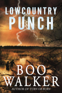 Boo Walker [Walker, Boo] — Lowcountry Punch