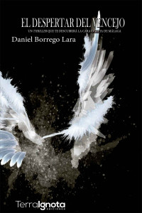 Daniel Borrego Lara — El despertar del vencejo