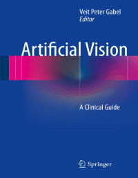 Veit Peter Gabel — Artificial Vision