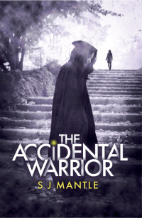 S J Mantle — The Accidental Warrior