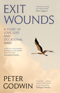 Peter Godwin — Exit Wounds: A Story of Love, Loss and Occasional Wars