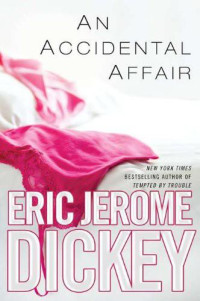 Eric Jerome Dickey — An Accidental Affair
