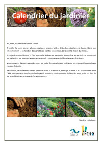 ragots — Calendrier des jardiniers CREA 12 mois