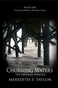 Meredith T. Taylor — Churning Waters