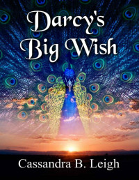Cassandra B. Leigh — Darcy's Big Wish