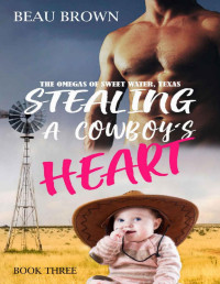 Beau Brown & E E Wilde [Brown, Beau & Wilde, E E] — Stealing a Cowboy's Heart