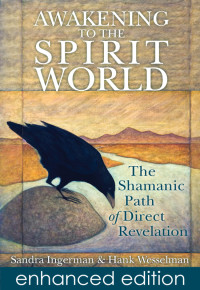 Sandra Ingerman — Awakening to the Spirit World