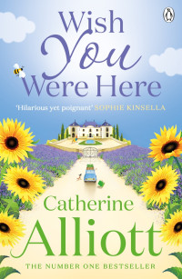 Catherine Alliott [Alliott, Catherine] — Wish You Were Here