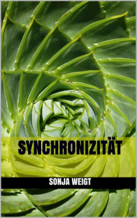 Sonja Weigt [Weigt, Sonja] — Synchronizität (German Edition)