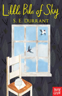 Durrant, S.E. — Little Bits of Sky