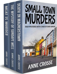 Anne Crosse — SMALL TOWN MURDERS: Irish mysteries with a dose of dark humour