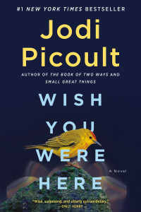 Jodi Picoult — Wish You Were Here: A Novel