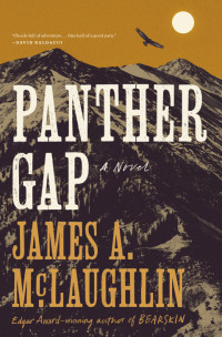 James A. McLaughlin — Panther Gap