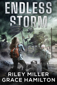 Riley Miller, Grace Hamilton — Endless Storm - An Apocalyptic Thriller