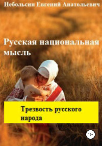 Евгений Анатольевич Небольсин — Русская национальная мысль. Трезвость русского народа