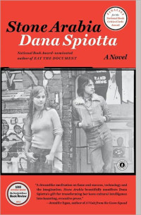 Dana Spiotta — Stone Arabia: A Novel 