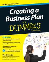 Veechi Curtis — Creating a Business Plan For Dummies