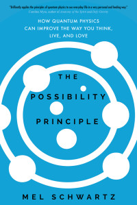 Mel Schwartz — The Possibility Principle