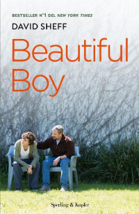 David Sheff — Beautiful boy (versione italiana)