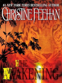 Christine Feehan — Leopards Series