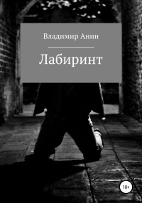 Владимир Анин — Лабиринт