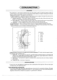 Imran — Opthalmology, ENT _ Ortho Scan 1.pdf