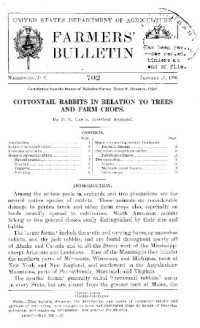 Henry W. Henshaw — Cottontail Rabbits in Relation to Trees and Farm Crops