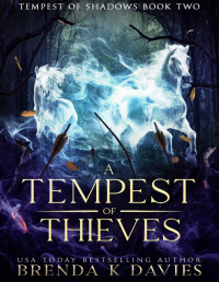 Brenda K. Davies — A Tempest of Thieves (Tempest of Shadows Book 2)