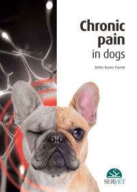 Ruano Puente, Belén — Chronic Pain in Dogs