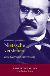 Christian Niemeyer — Nietzsche verstehen