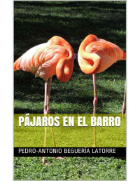 Antonio Beguería — Pájaros en el barro