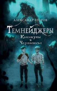 Александр Альбертович Егоров — Каникулы в Чернолесье