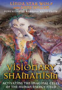 Linda Star Wolf — Visionary Shamanism