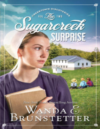 Wanda E. Brunstetter — The Sugarcreek Surprise