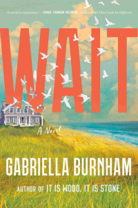 Gabriella Burnham — Wait: A Novel