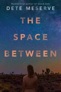 Dete Meserve — The Space Between