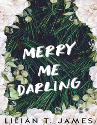 Lilian T. James — Merry Me Darling: A Short Holiday Novella (Meet Me Halfway Series)