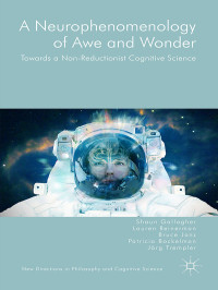 Shaun Gallagher & Lauren Reinerman-Jones & Bruce Janz & Patricia Bockelman & Jörg Trempler — A Neurophenomenology of Awe and Wonder