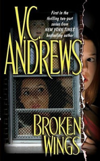 Andrews, V.C. — [Broken Wings 01] • Broken Wings