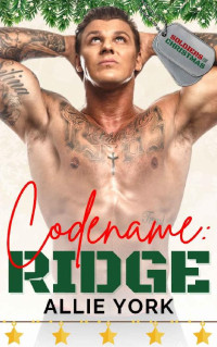 Allie York — Codename: Ridge: Soldiers home for Christmas