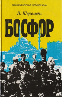 Виталий Иванович Шеремет — Босфор. Россия и Турция в эпоху первой мировой войны