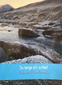 Sabine Foraboschi — So lange ich schlief: Einmal Wachkoma und zurück (German Edition)