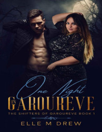 Elle M Drew — One Night in Garoureve (The Shifters of Garoureve Book 1)