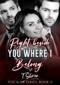Shree, T — Right Beside You, Where I Belong (You and Me Series Book 11)