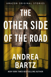 Andrea Bartz — The Other Side of the Road (Never Tell collection)
