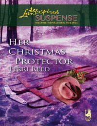 Terri Reed — Her Christmas Protector